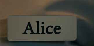 alice in borderland qui est alice