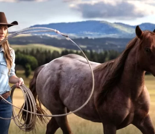 heartland saison 18 fin