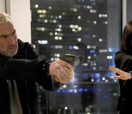 Chien 51 : Y a t’il une scène post-générique ? chien 51 scene post generique