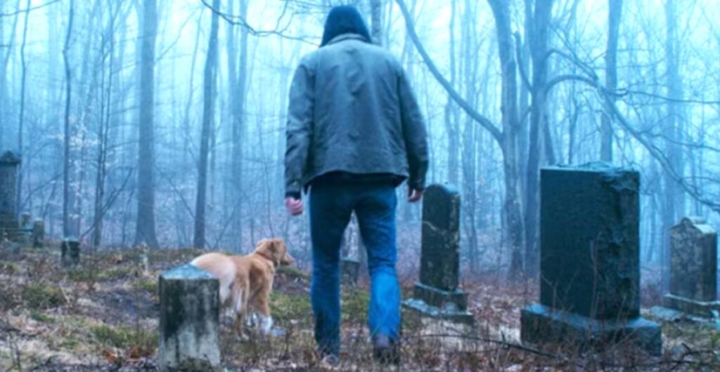 good boy explication fin