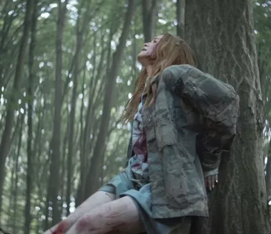 Les Intrus Chapitre 2 : Quelle date de sortie en streaming ? Netflix ? les intrus chapitre 2 streaming