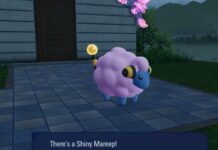 pokemon za trouver pokemon shiny