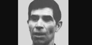 stefano mele aujourdhui