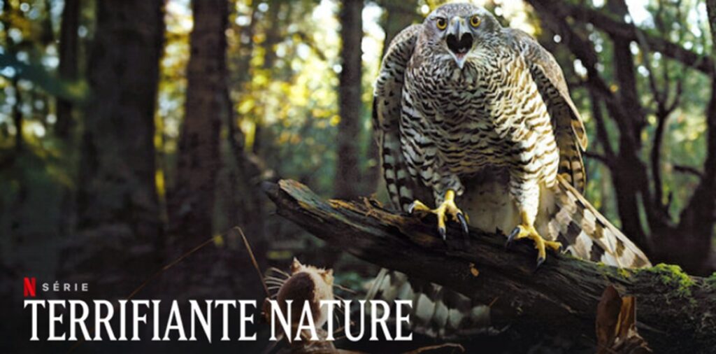 terrifiante nature saison 2