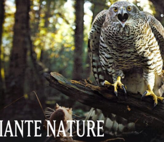 terrifiante nature saison 2