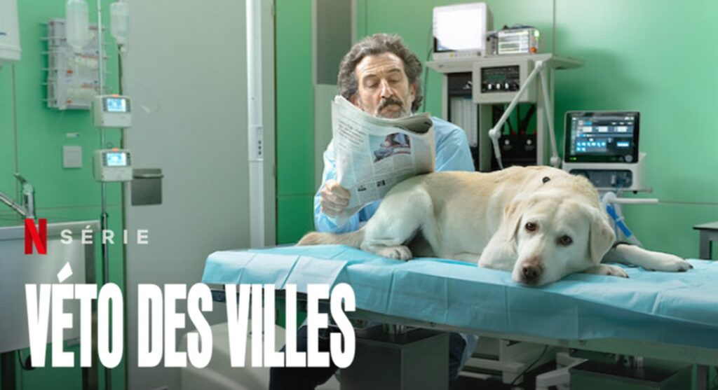 veto des villes saison 2