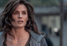 absentia series similaires