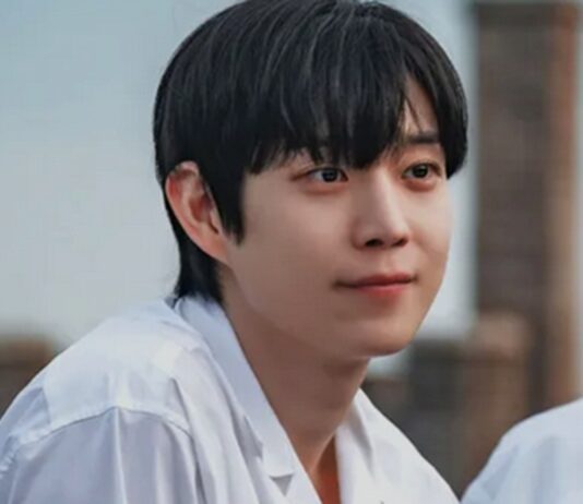 dear x combien depisodes