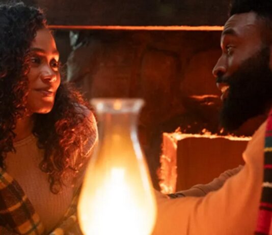 joy et moi histoire vraie