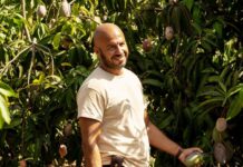 Mango Saison 1 : Est ce inspiré d’une histoire vraie ? mango histoire vraie