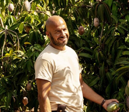 mango histoire vraie