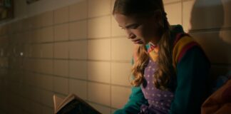 stranger things un raccourci dans le temps livre