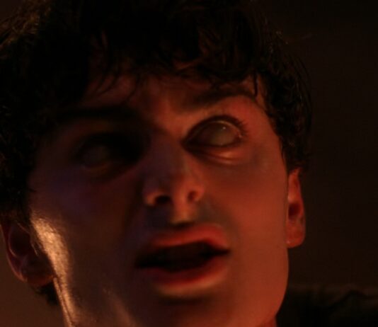 stranger things will pouvoirs