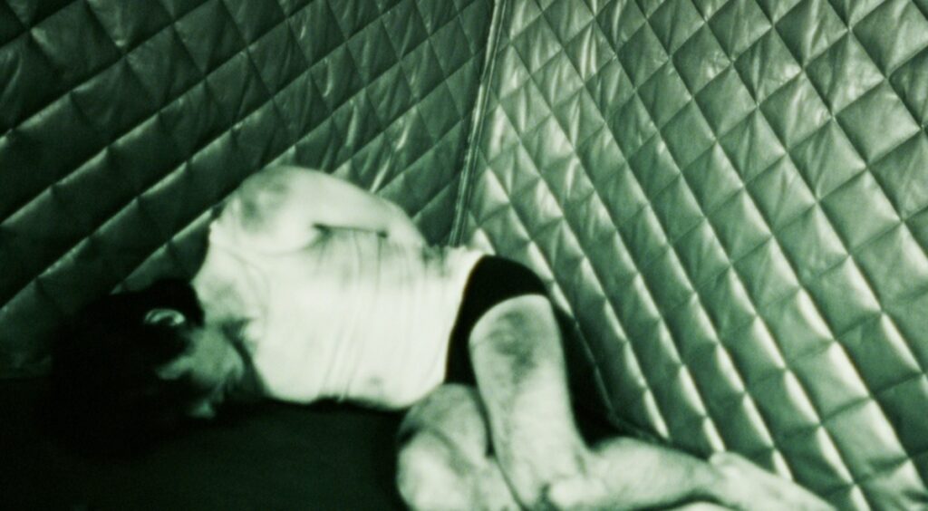 the beast in me teddy