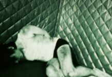 the beast in me teddy