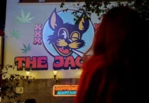 the jackal vrai coffeeshop