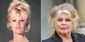 brigitte bardot polemique
