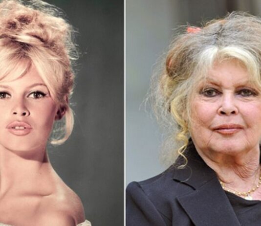 Brigitte Bardot : Pourquoi faisait elle polémique ? brigitte bardot polemique