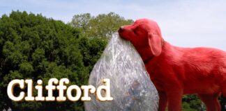 clifford suite