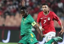 egypte zimbabwe streaming