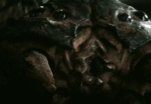 fallout saison 2 episode 2 fin