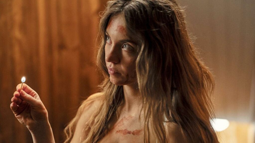 la femme de menage differences film livre