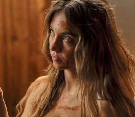 la femme de menage differences film livre