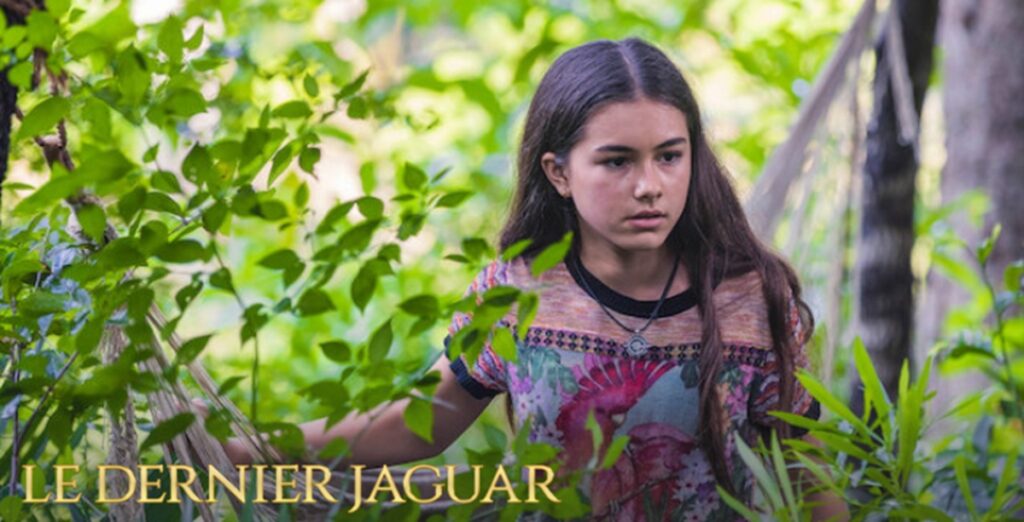 le dernier jaguar suite