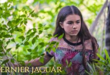 le dernier jaguar suite