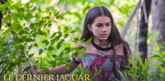 le dernier jaguar suite