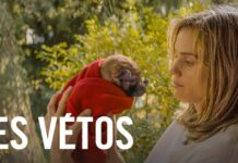 Quelle date de sortie pour la suite du film Les Vétos ? les vetos suite