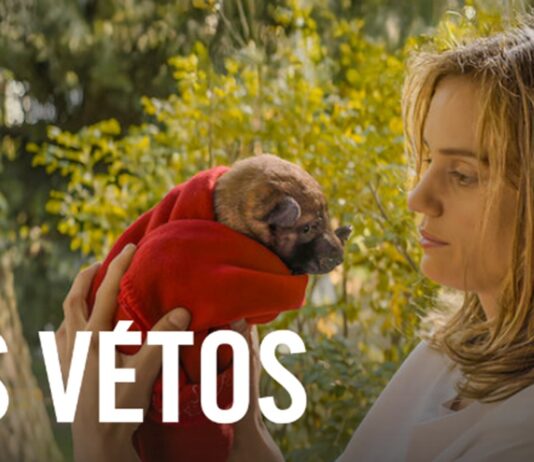 Quelle date de sortie pour la suite du film Les Vétos ? les vetos suite