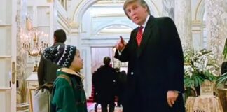maman jai encore rate lavion trump