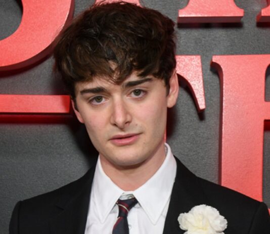 noah schnapp polemique