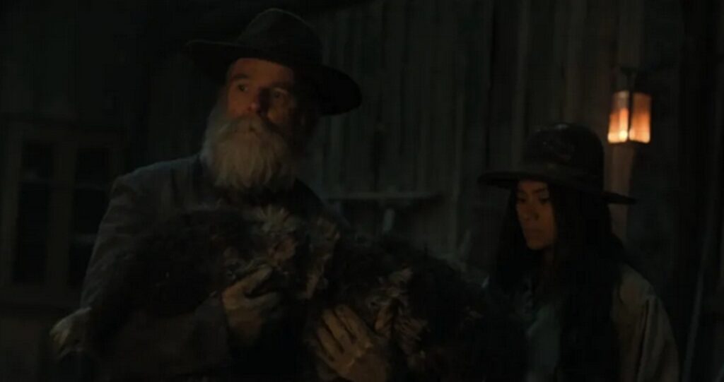 the abandons chien mort