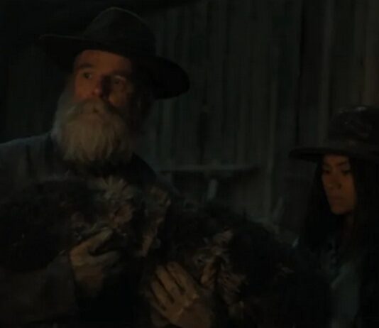 the abandons chien mort