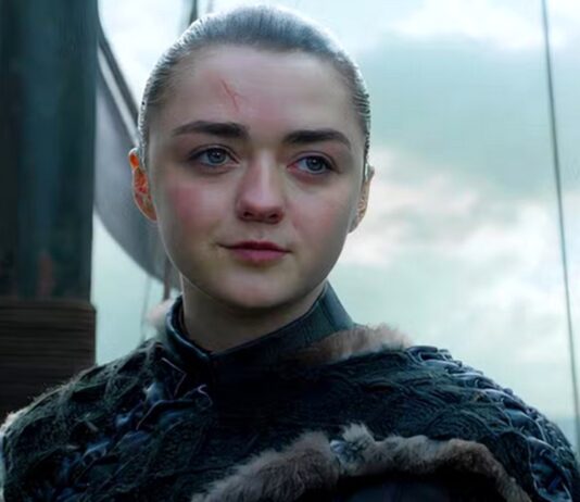 arya stark suite game of thrones