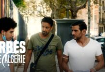 barbes little algerie suite