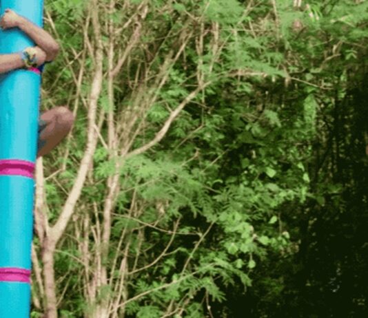 beast games saison 2 episode 5