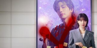 le miroir aux idoles streaming