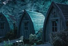 Loups Garous Saison 2 : Explication de la fin ! Qui a gagné ? loups garous saison 2 fin