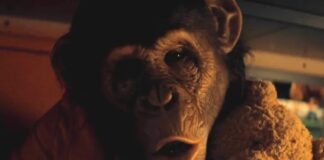 primate age