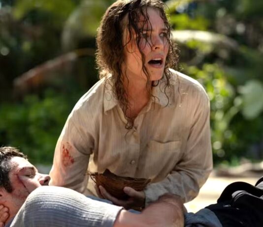 send help explication fin