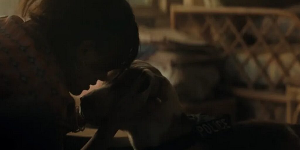 the rip wilbur chien