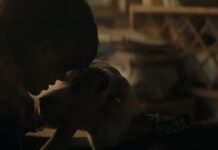 the rip wilbur chien