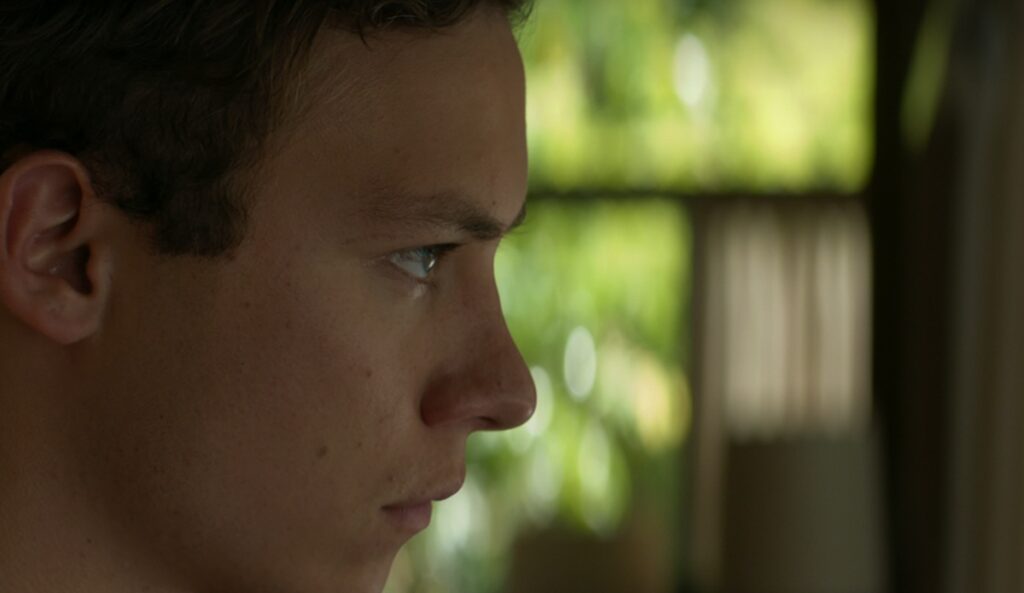 animal kingdom saison 1 fin