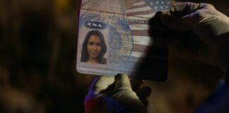 animal kingdom saison 5 fin