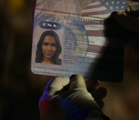 animal kingdom saison 5 fin