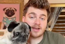 cyril albert mensonge