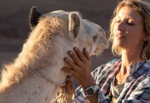 zodi et tehu histoire vraie